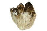 Smoky Citrine Crystal Cluster - Lwena, Congo #128424-1